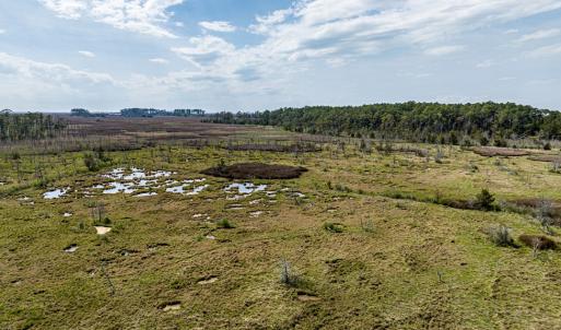 Photo #17 of Lot 32* YOUNGS CREEK RD, BLOXOM, VA 19.0 acres