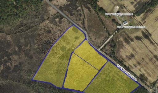 Photo #3 of Lot 32* YOUNGS CREEK RD, BLOXOM, VA 19.0 acres