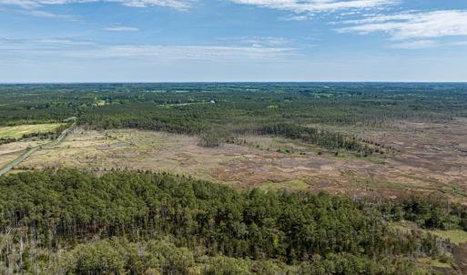 Photo #7 of Lot 32* YOUNGS CREEK RD, BLOXOM, VA 19.0 acres