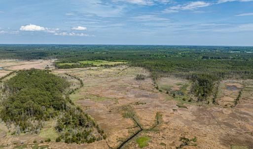 Photo #8 of Lot 32* YOUNGS CREEK RD, BLOXOM, VA 19.0 acres
