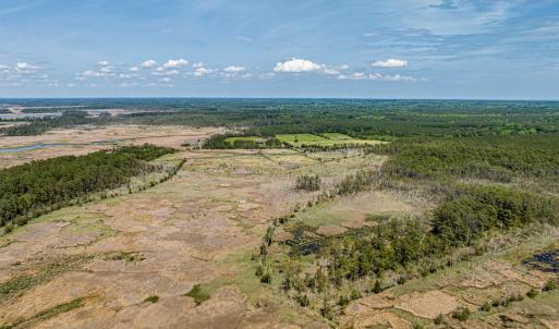 Photo #9 of Lot 32* YOUNGS CREEK RD, BLOXOM, VA 19.0 acres
