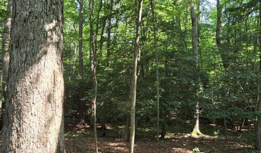 Photo #5 of Lot A AIRPORT DR, MELFA, VA 5.0 acres