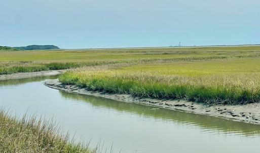 Photo #11 of Lot 55 LEWIS LANE, PARKSLEY, VA 1.2 acres