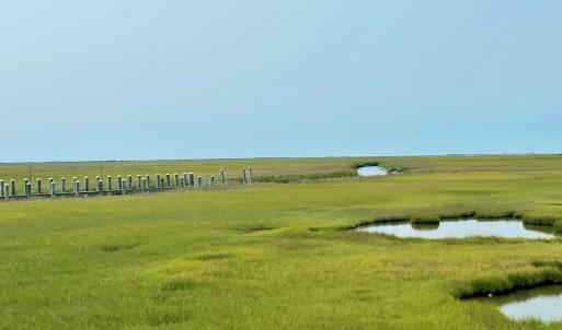 Photo #14 of Lot 55 LEWIS LANE, PARKSLEY, VA 1.2 acres