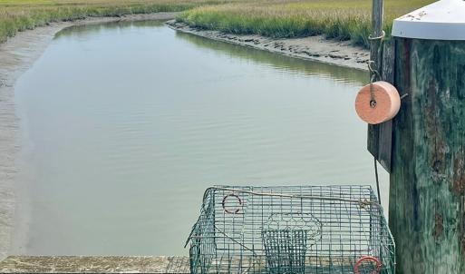 Photo #18 of Lot 55 LEWIS LANE, PARKSLEY, VA 1.2 acres