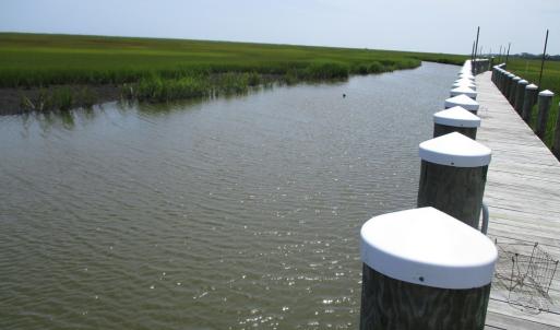 Photo #48 of Lot 55 LEWIS LANE, PARKSLEY, VA 1.2 acres