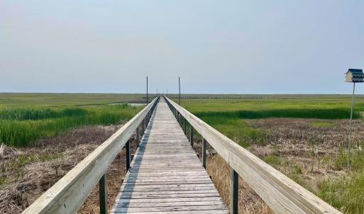 Photo #6 of Lot 55 LEWIS LANE, PARKSLEY, VA 1.2 acres