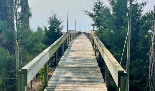 Photo #23 of Lot 55 LEWIS LANE, PARKSLEY, VA 1.2 acres