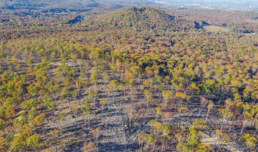 Photo #17 of TBD1 CALF MOUNTAIN RD, WAYNESBORO, VA 97.0 acres