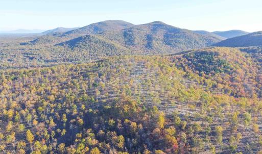 Photo #19 of TBD1 CALF MOUNTAIN RD, WAYNESBORO, VA 97.0 acres
