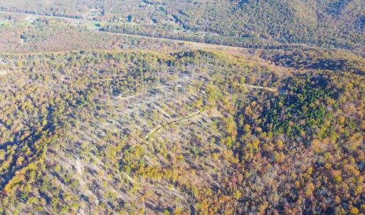 Photo #36 of TBD1 CALF MOUNTAIN RD, WAYNESBORO, VA 97.0 acres