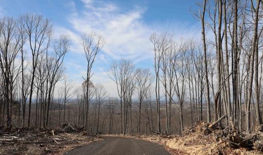 Photo #12 of TBD CALF MOUNTAIN RD, WAYNESBORO, VA 76.0 acres