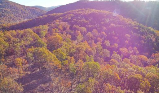 Photo #14 of TBD CALF MOUNTAIN RD, WAYNESBORO, VA 90.0 acres