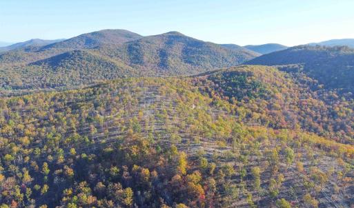Photo #3 of TBD CALF MOUNTAIN RD, WAYNESBORO, VA 90.0 acres