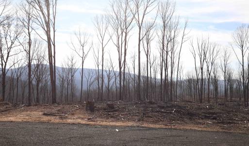 Photo #4 of TBD CALF MOUNTAIN RD, WAYNESBORO, VA 90.0 acres