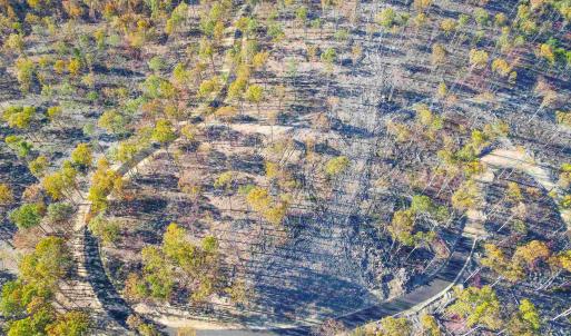 Photo #32 of TBD CALF MOUNTAIN RD, WAYNESBORO, VA 90.0 acres