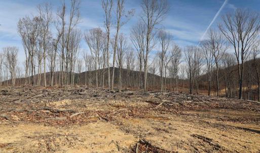 Photo #6 of TBD CALF MOUNTAIN RD, WAYNESBORO, VA 90.0 acres