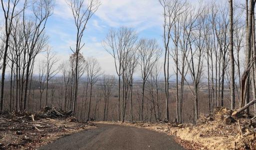 Photo #10 of TBD CALF MOUNTAIN RD, WAYNESBORO, VA 90.0 acres