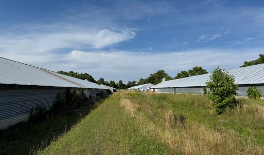 Photo #10 of 5703 NEAL PARKER RD, WITHAMS, VA 13.5 acres