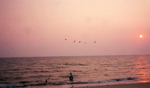 Photo #28 of 12A SAND HILL DR, CAPE CHARLES, VA 2.1 acres