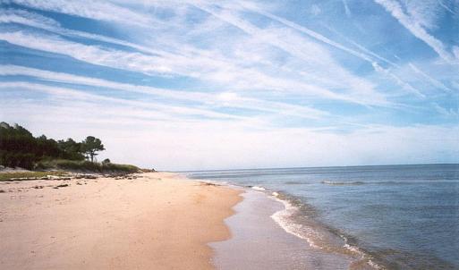 Photo #29 of 12A SAND HILL DR, CAPE CHARLES, VA 2.1 acres