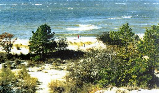 Photo #38 of 12A SAND HILL DR, CAPE CHARLES, VA 2.1 acres