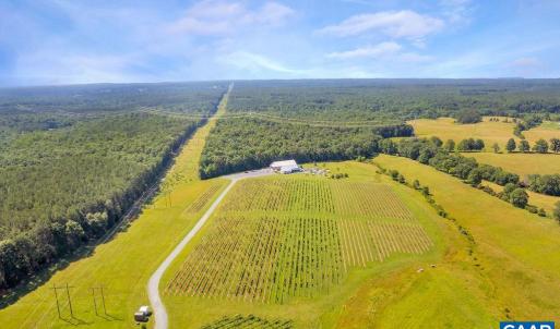 Photo #10 of 3304A RURITAN LAKE RD, PALMYRA, VA 64.6 acres