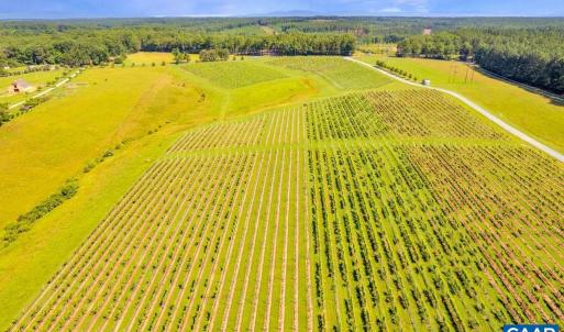 Photo #8 of 3304A RURITAN LAKE RD, PALMYRA, VA 64.6 acres