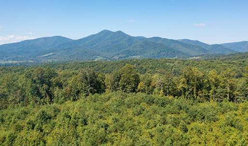 Photo #15 of SOLD property in TBD CUB CREEK RD, ROSELAND, VA 553.0 acres