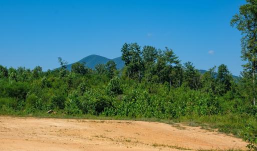 Photo #18 of SOLD property in TBD CUB CREEK RD, ROSELAND, VA 553.0 acres