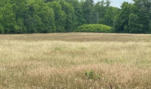 Photo #3 of 47,47B SAVAGEVILLE RD, ONANCOCK, VA 38.0 acres