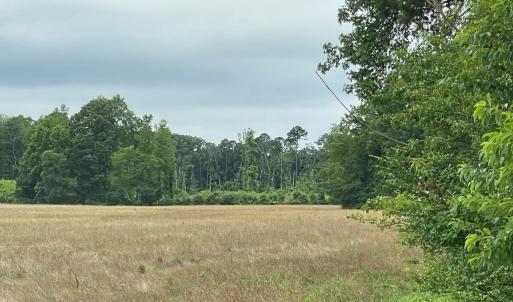 Photo #4 of 47,47B SAVAGEVILLE RD, ONANCOCK, VA 38.0 acres