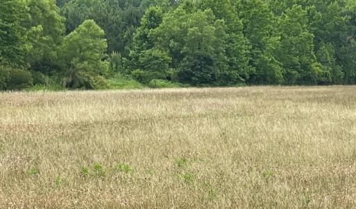 Photo #5 of 47,47B SAVAGEVILLE RD, ONANCOCK, VA 38.0 acres