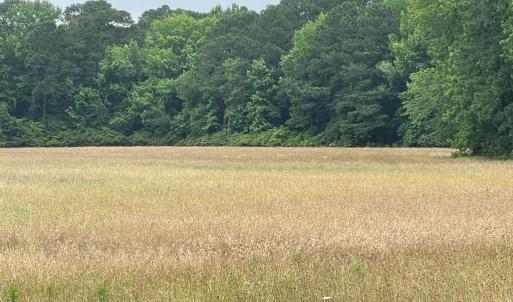 Photo #6 of 47,47B SAVAGEVILLE RD, ONANCOCK, VA 38.0 acres