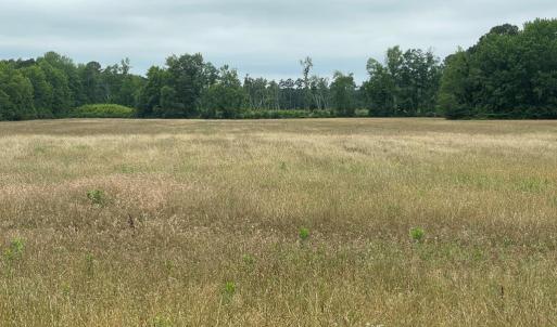 Photo #7 of 47,47B SAVAGEVILLE RD, ONANCOCK, VA 38.0 acres