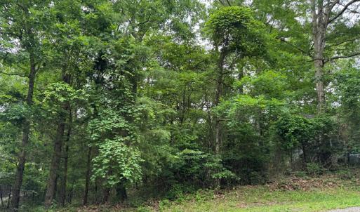 Photo #2 of Lot 1879 BUCCANEER BLVD, GREENBACKVILLE, VA 0.5 acres