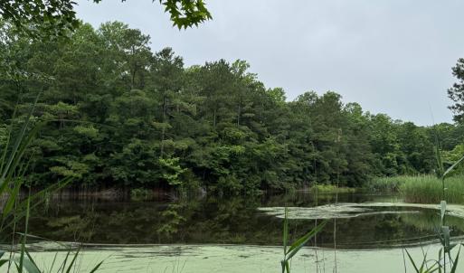 Photo #3 of Lot 1879 BUCCANEER BLVD, GREENBACKVILLE, VA 0.5 acres