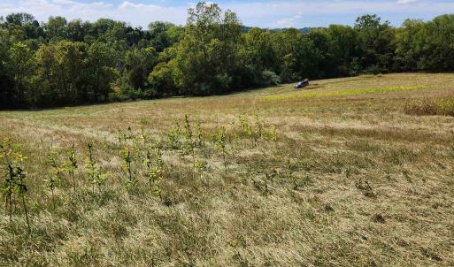 Photo #14 of MILL RACE RD, VERONA, VA 6.9 acres