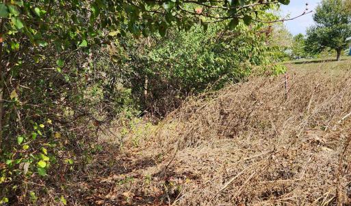 Photo #6 of MILL RACE RD, VERONA, VA 6.9 acres