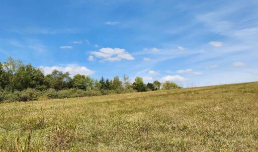 Photo #15 of MILL RACE RD, VERONA, VA 6.9 acres