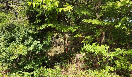 Photo #22 of MILL RACE RD, VERONA, VA 6.9 acres