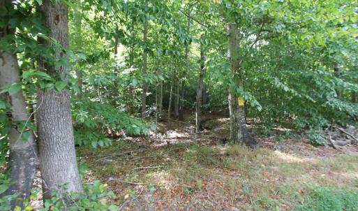 Photo #3 of LOUISA RD, KESWICK, VA 112.7 acres