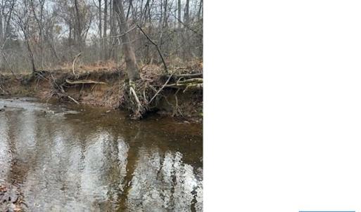 Photo #6 of LOUISA RD, KESWICK, VA 112.7 acres