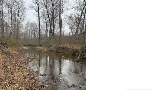Photo #8 of LOUISA RD, KESWICK, VA 112.7 acres