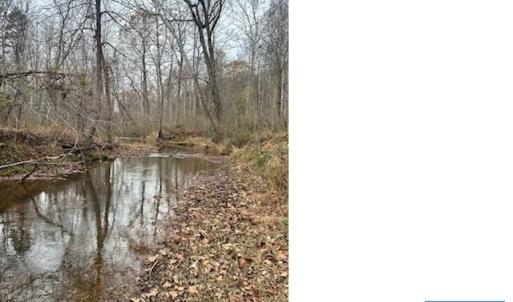 Photo #7 of LOUISA RD, KESWICK, VA 112.7 acres
