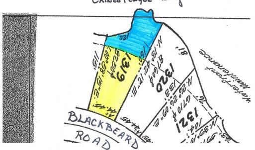 Photo #8 of 1319 BLACKBEARD RD, GREENBACKVILLE, VA 44.0 acres