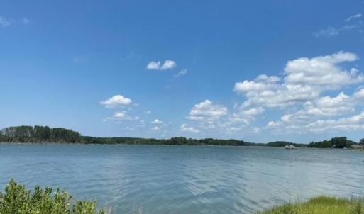 Photo #5 of Lot 14 POND VIEW COURT, PAINTER, VA 3.3 acres