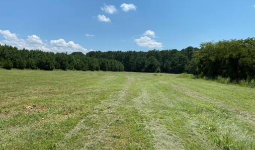 Photo #6 of Lot 14 POND VIEW COURT, PAINTER, VA 3.3 acres