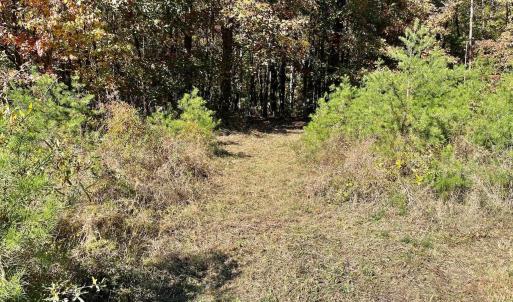 Photo #8 of THREE NOTCH RD, LOUISA, VA 14.9 acres