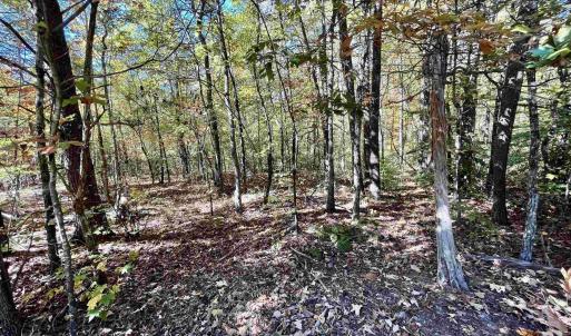 Photo #7 of THREE NOTCH RD, LOUISA, VA 14.9 acres